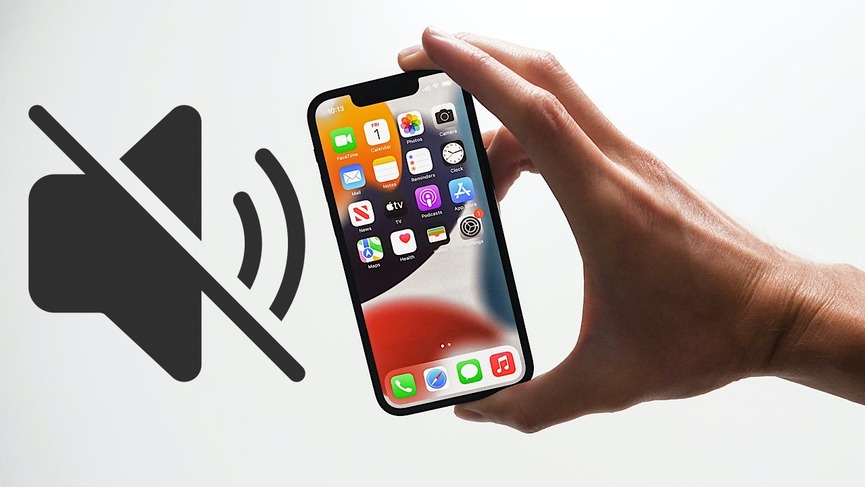 Phân biệt loa trong và loa ngoài